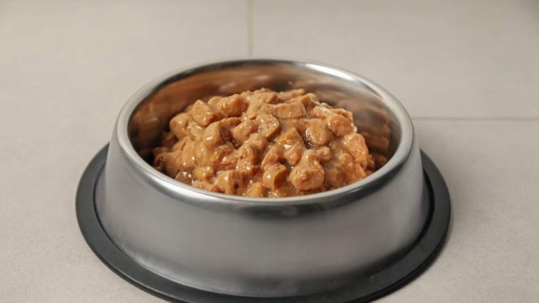 Dog Food Recalled Nationally For Metal Contamination Risk