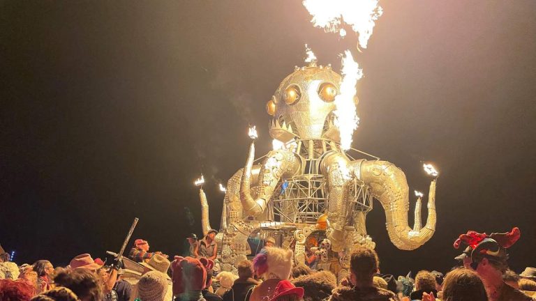 Smart Glasses Allowed At Burning Man
